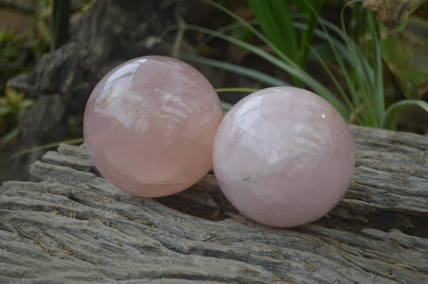 Polished Star Rose Quartz Spheres x 2 From Madagascar - Toprock Gemstones and Minerals 