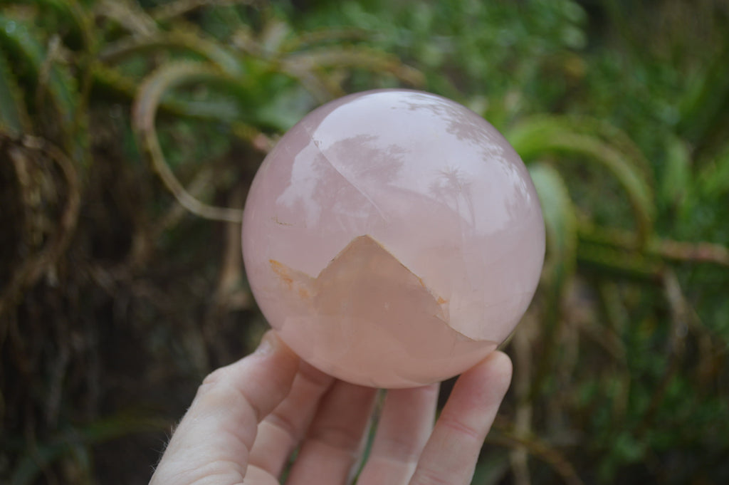 Polished Star Rose Quartz Spheres x 2 From Madagascar - Toprock Gemstones and Minerals 