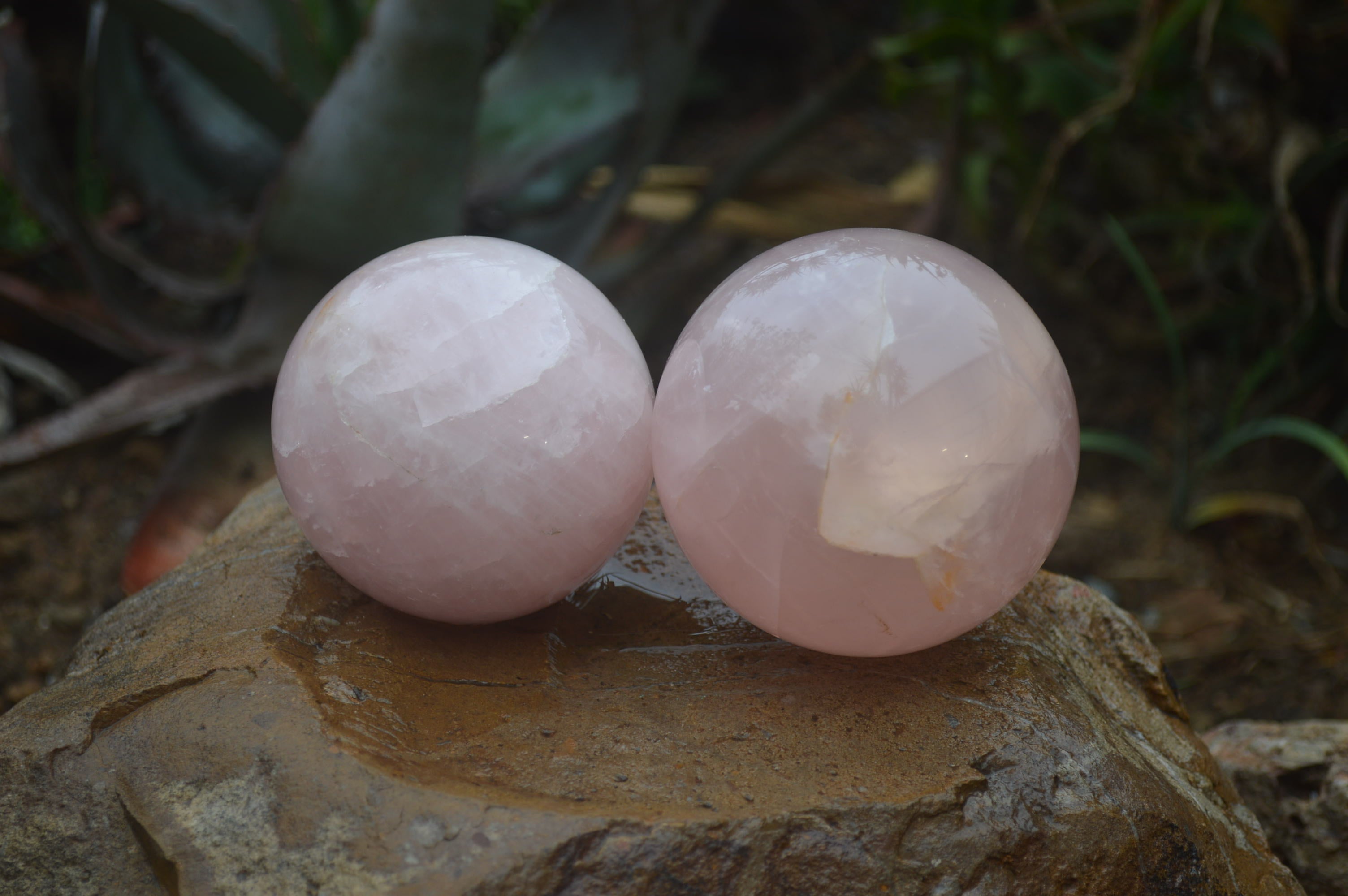 Polished Star Rose Quartz Spheres x 2 From Madagascar - Toprock Gemstones and Minerals 