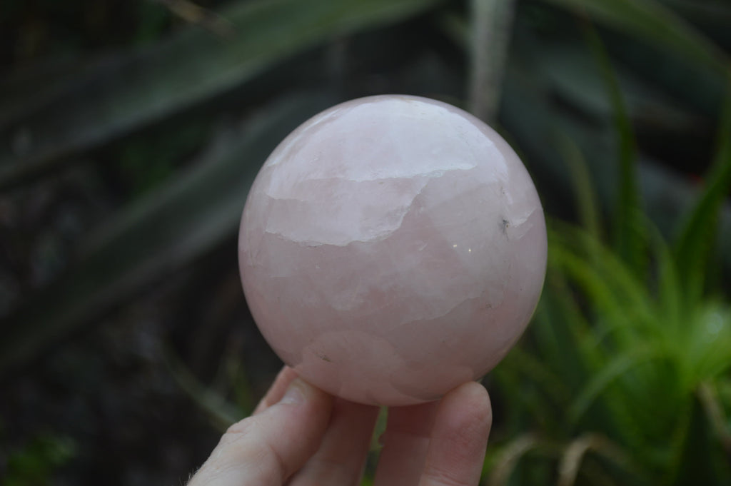 Polished Star Rose Quartz Spheres x 2 From Madagascar - Toprock Gemstones and Minerals 