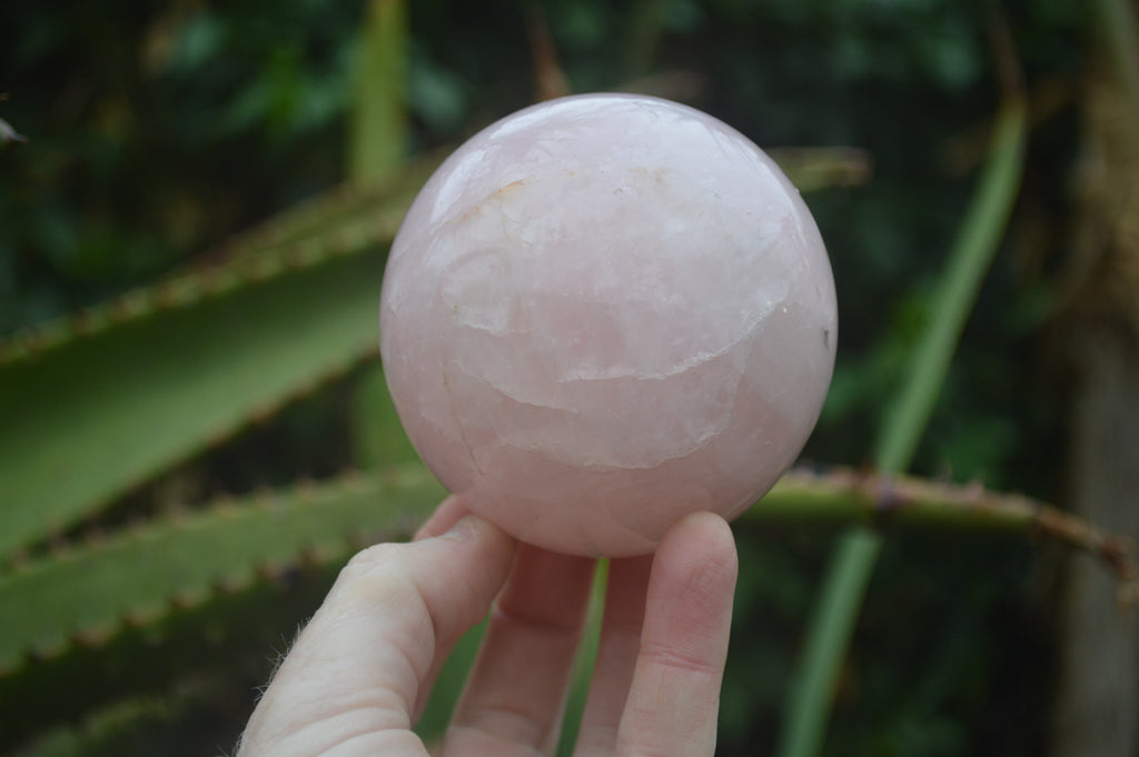 Polished Star Rose Quartz Spheres x 2 From Madagascar - Toprock Gemstones and Minerals 