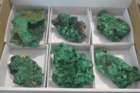 Natural Silky Malachite Specimens x 6 From Kasompe, Congo - Toprock Gemstones and Minerals 