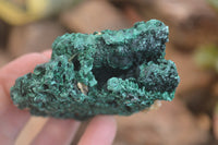 Natural Silky Malachite Specimens x 6 From Kasompe, Congo - Toprock Gemstones and Minerals 