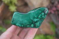 Polished Flower Banded Malachite Free Forms x 4 From Congo - Toprock Gemstones and Minerals 