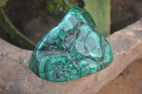 Polished Flower Banded Malachite Free Forms x 4 From Congo - Toprock Gemstones and Minerals 