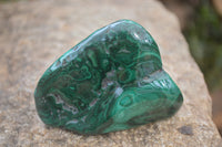 Polished Flower Banded Malachite Free Forms x 4 From Congo - Toprock Gemstones and Minerals 