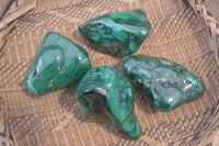 Polished Flower Banded Malachite Free Forms x 4 From Congo - Toprock Gemstones and Minerals 