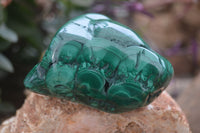 Polished Flower Banded Malachite Free Forms x 4 From Congo - Toprock Gemstones and Minerals 