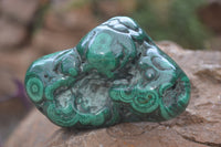 Polished Flower Banded Malachite Free Forms x 4 From Congo - Toprock Gemstones and Minerals 