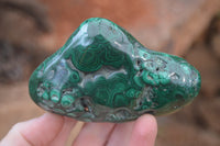 Polished Flower Banded Malachite Free Forms x 4 From Congo - Toprock Gemstones and Minerals 