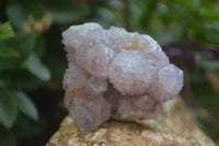 Natural Ametrine and Amethyst Spirit Quartz Clusters x 6 From Boekenhouthoek, South Africa