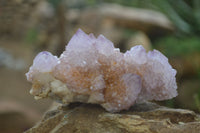 Natural Ametrine and Amethyst Spirit Quartz Clusters x 6 From Boekenhouthoek, South Africa