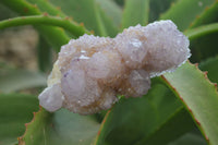 Natural Ametrine and Amethyst Spirit Quartz Clusters x 6 From Boekenhouthoek, South Africa
