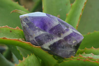 Polished Chevron Amethyst Points x 6 From Madagascar - Toprock Gemstones and Minerals 