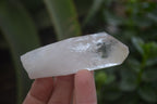 Natural Quartz Crystals x 20 From Mpika, Zambia - Toprock Gemstones and Minerals 