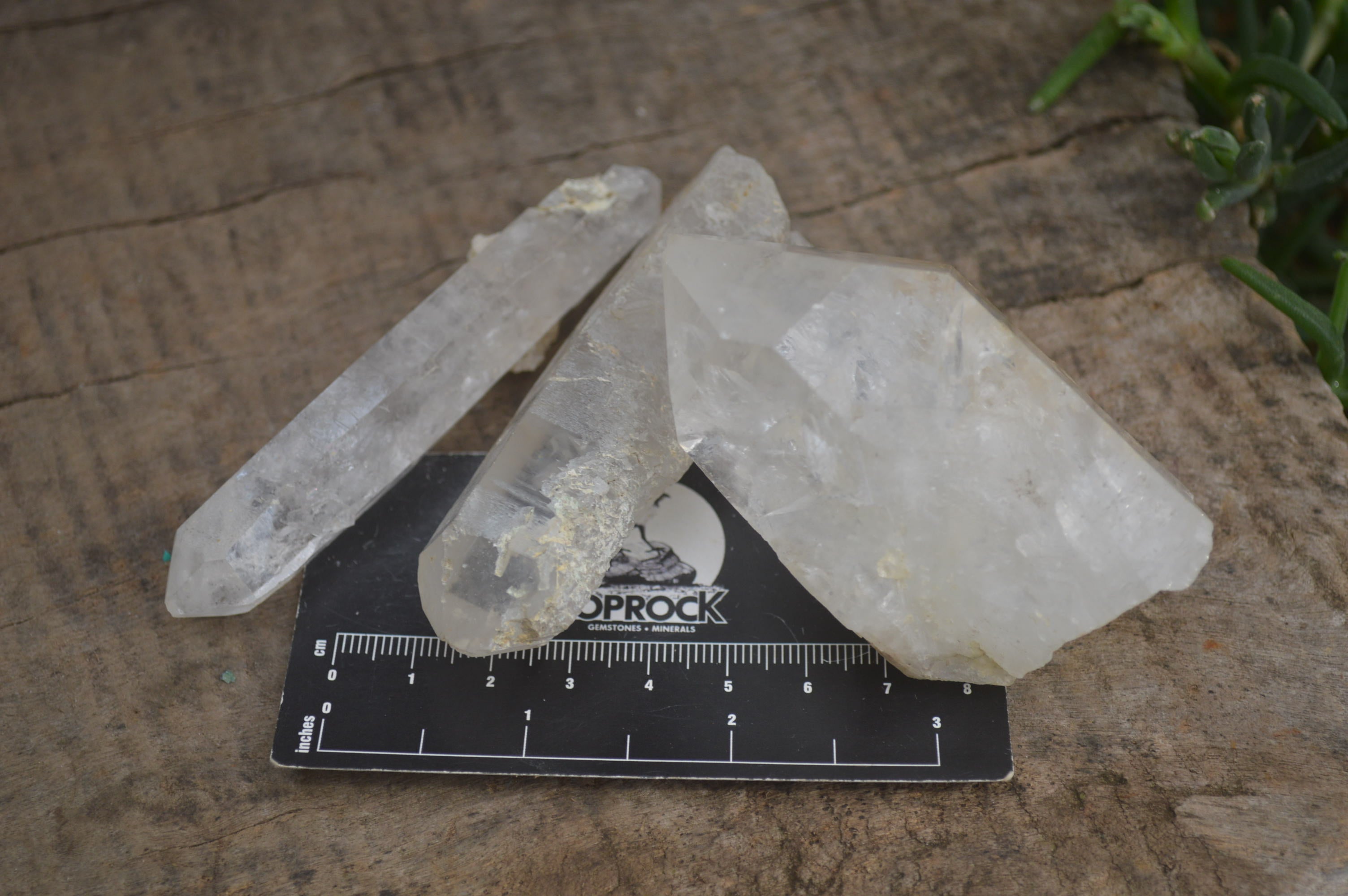 Natural Quartz Crystals x 20 From Mpika, Zambia - Toprock Gemstones and Minerals 