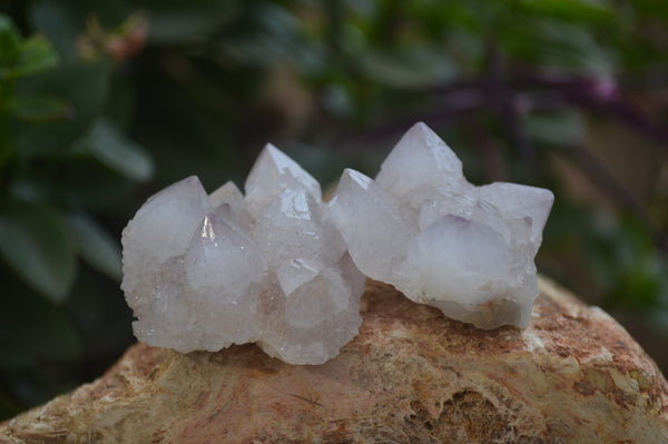 Natural Pale Ametrine Spirit Quartz Clusters x 20 From Boekenhouthoek, South Africa - Toprock Gemstones and Minerals 