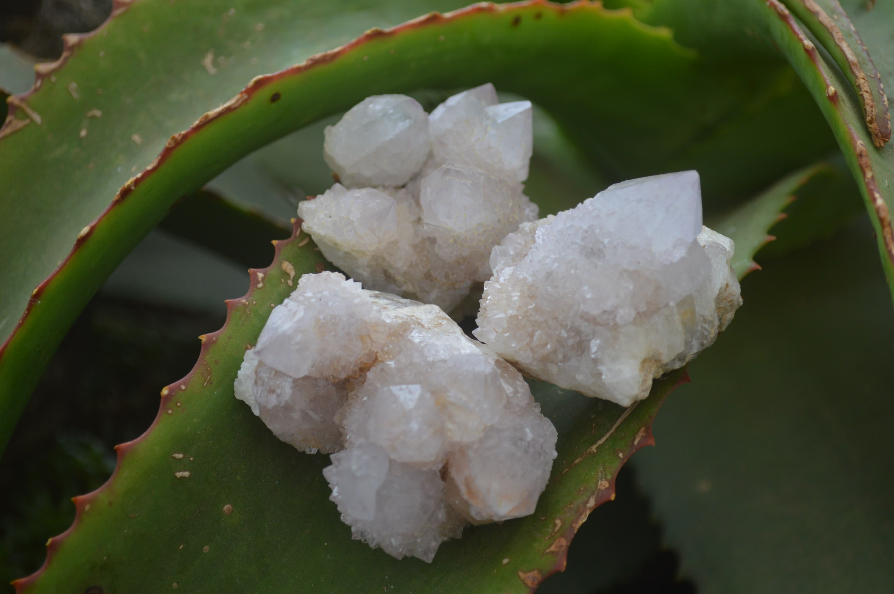 Natural Pale Ametrine Spirit Quartz Clusters x 20 From Boekenhouthoek, South Africa - Toprock Gemstones and Minerals 