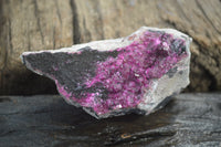 Natural Salrose Cobaltion Dolomite Specimens x 12 From Kakanda, Congo - Toprock Gemstones and Minerals 