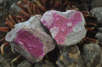 Natural Salrose Cobaltion Dolomite Specimens x 12 From Kakanda, Congo - Toprock Gemstones and Minerals 