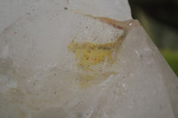 Polished Rare Large Pentium Quartz Crystal with Hematite Inclusions x 1 From Angola - Toprock Gemstones and Minerals 