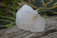 Polished Rare Large Pentium Quartz Crystal with Hematite Inclusions x 1 From Angola - Toprock Gemstones and Minerals 