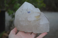 Polished Rare Large Pentium Quartz Crystal with Hematite Inclusions x 1 From Angola - Toprock Gemstones and Minerals 