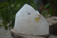 Polished Rare Large Pentium Quartz Crystal with Hematite Inclusions x 1 From Angola - Toprock Gemstones and Minerals 