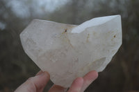Polished Rare Large Pentium Quartz Crystal with Hematite Inclusions x 1 From Angola - Toprock Gemstones and Minerals 