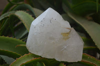 Polished Rare Large Pentium Quartz Crystal with Hematite Inclusions x 1 From Angola - Toprock Gemstones and Minerals 