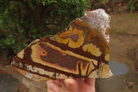 Polished On One Side Nguni Jasper Specimens x 3 From Prieska, South Africa - Toprock Gemstones and Minerals 