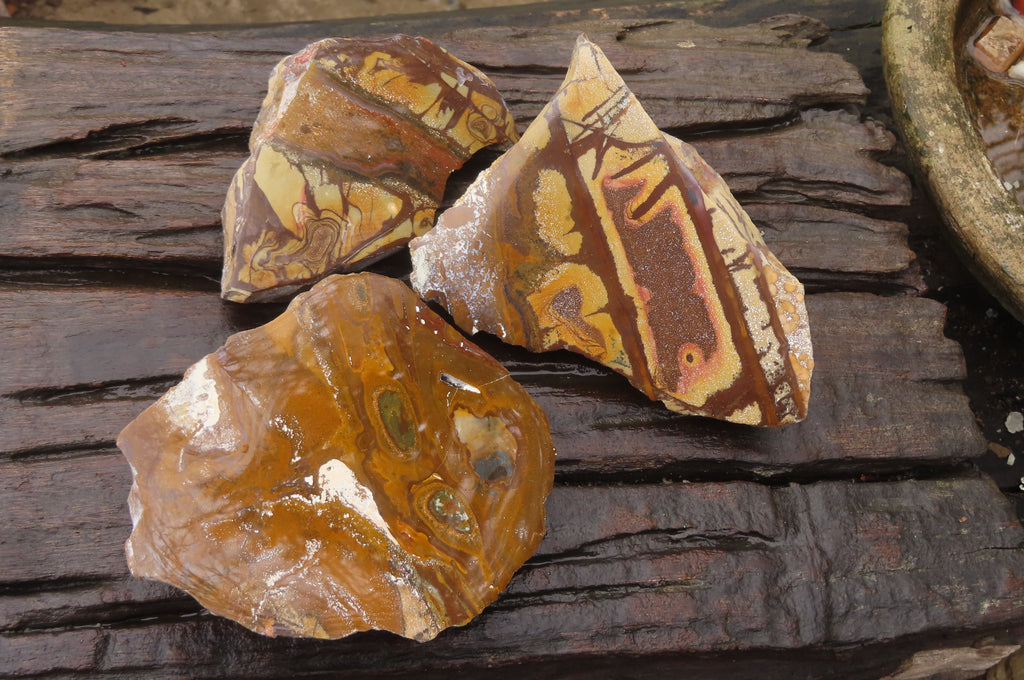 Polished On One Side Nguni Jasper Specimens x 3 From Prieska, South Africa - Toprock Gemstones and Minerals 