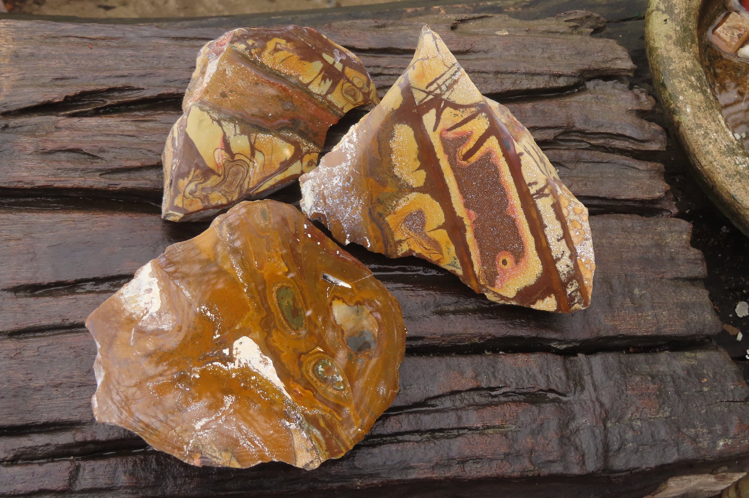 Polished On One Side Nguni Jasper Specimens x 3 From Prieska, South Africa - Toprock Gemstones and Minerals 
