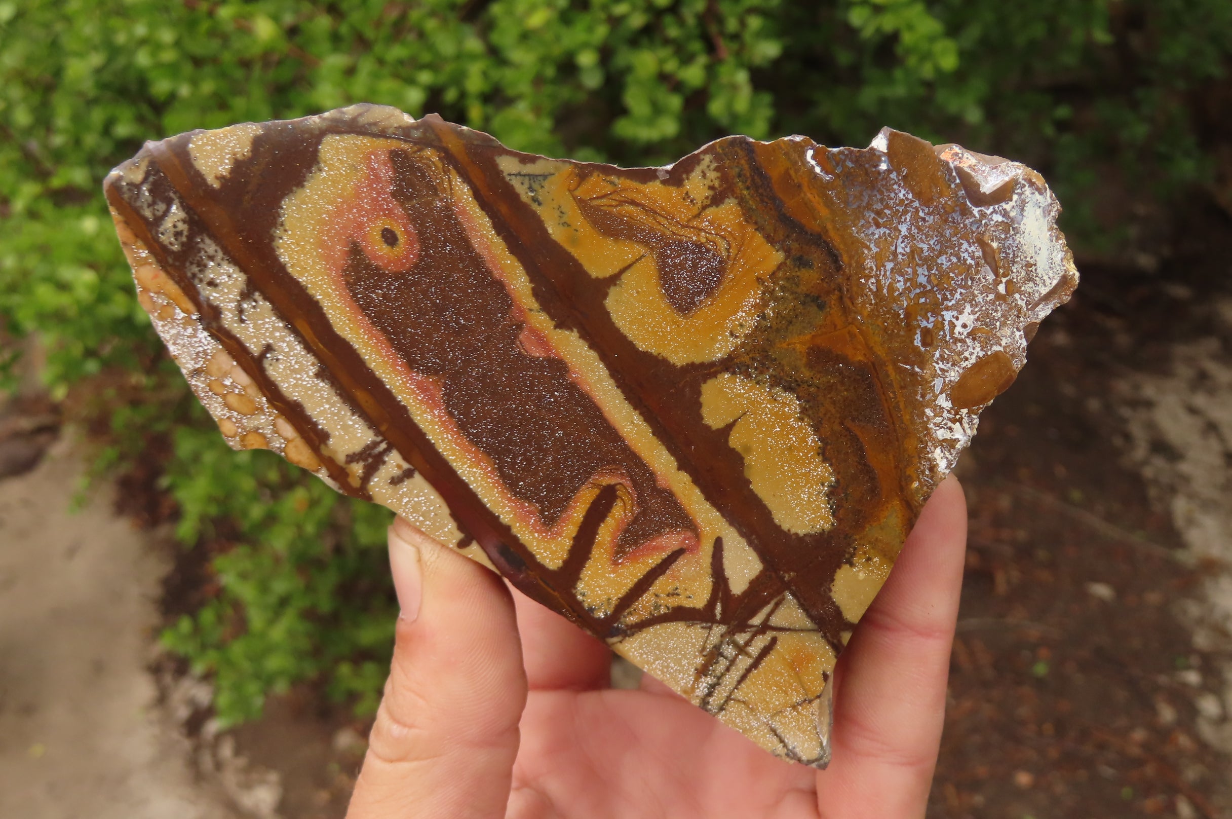 Polished On One Side Nguni Jasper Specimens x 3 From Prieska, South Africa - Toprock Gemstones and Minerals 