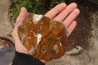 Polished On One Side Nguni Jasper Specimens x 3 From Prieska, South Africa - Toprock Gemstones and Minerals 