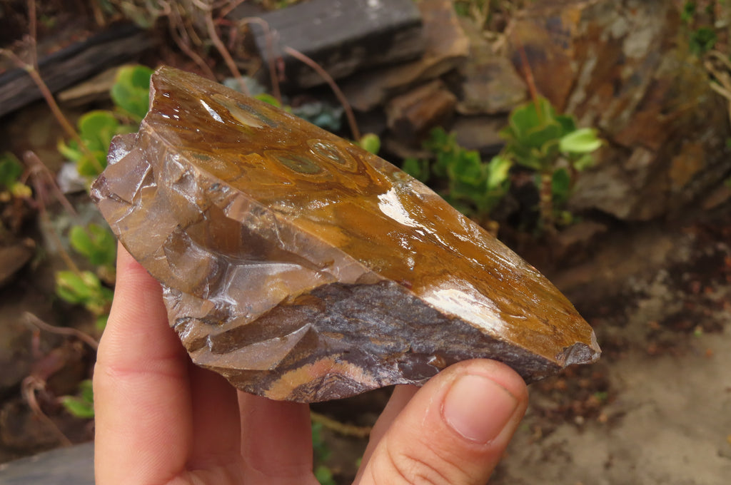Polished On One Side Nguni Jasper Specimens x 3 From Prieska, South Africa - Toprock Gemstones and Minerals 