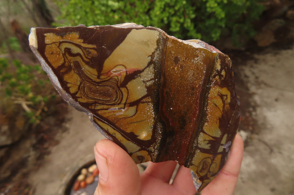 Polished On One Side Nguni Jasper Specimens x 3 From Prieska, South Africa - Toprock Gemstones and Minerals 