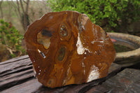 Polished On One Side Nguni Jasper Specimens x 3 From Prieska, South Africa - Toprock Gemstones and Minerals 