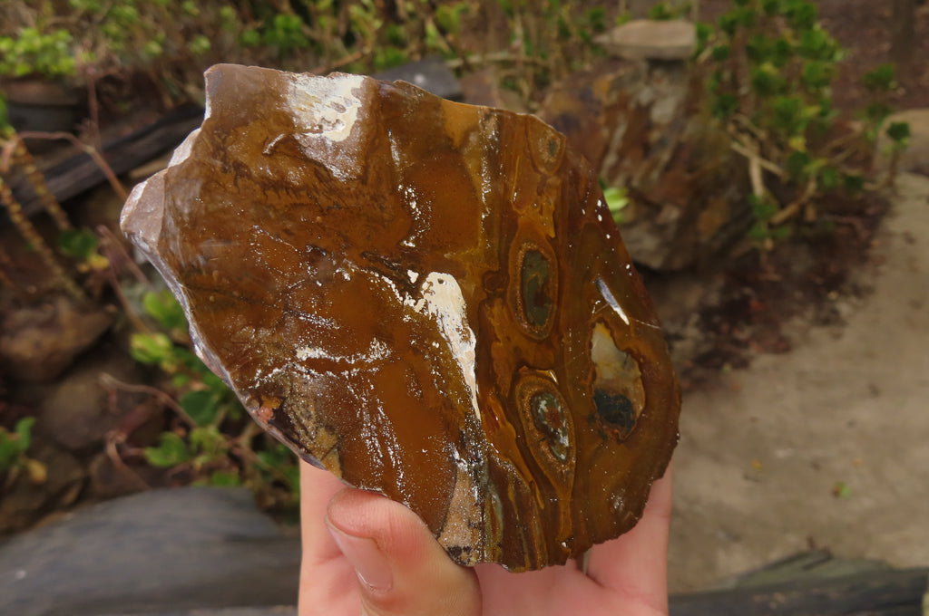 Polished On One Side Nguni Jasper Specimens x 3 From Prieska, South Africa - Toprock Gemstones and Minerals 