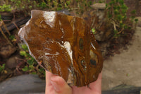 Polished On One Side Nguni Jasper Specimens x 3 From Prieska, South Africa - Toprock Gemstones and Minerals 