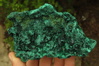 Natural Silky Malachite Specimens x 3 From Kasompe, Congo - Toprock Gemstones and Minerals 