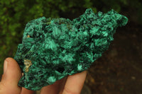 Natural Silky Malachite Specimens x 3 From Kasompe, Congo - Toprock Gemstones and Minerals 