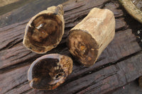 Polished on One Side Petrified Wood Branch Pieces x 3 From Gokwe, Zimbabwe - Toprock Gemstones and Minerals 