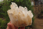 Natural Clear Quartz Clusters x 5 From Madagascar - Toprock Gemstones and Minerals 