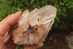 Natural Clear Quartz Clusters x 5 From Madagascar - Toprock Gemstones and Minerals 
