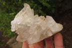 Natural Clear Quartz Clusters x 5 From Madagascar - Toprock Gemstones and Minerals 
