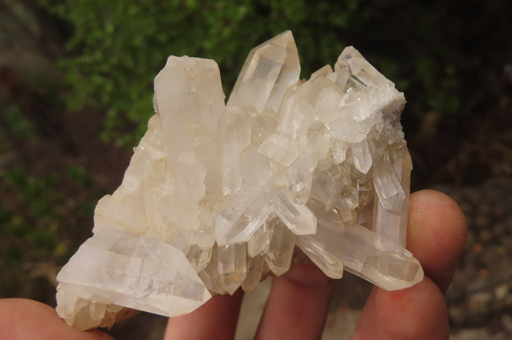 Natural Clear Quartz Clusters x 5 From Madagascar - Toprock Gemstones and Minerals 