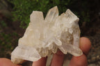 Natural Clear Quartz Clusters x 5 From Madagascar - Toprock Gemstones and Minerals 