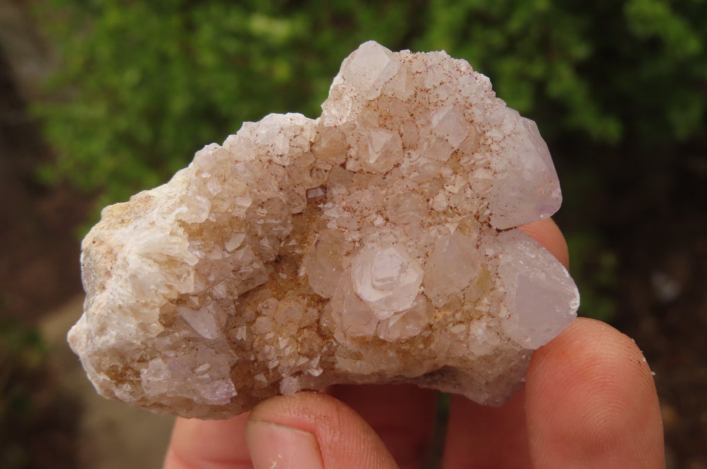 Natural Hematoid Ametrine Spirit Quartz Clusters x 12 From Boekenhouthoek, South Africa - Toprock Gemstones and Minerals 