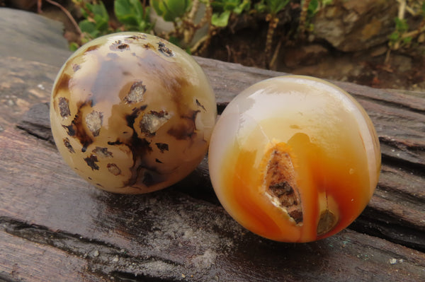 Polished Carnelian Agate Spheres x 6 From Madagascar - Toprock Gemstones and Minerals 